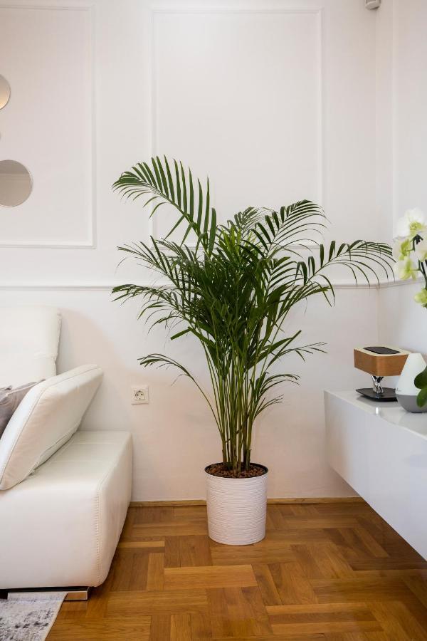 Apartment Parentium Porec Ngoại thất bức ảnh